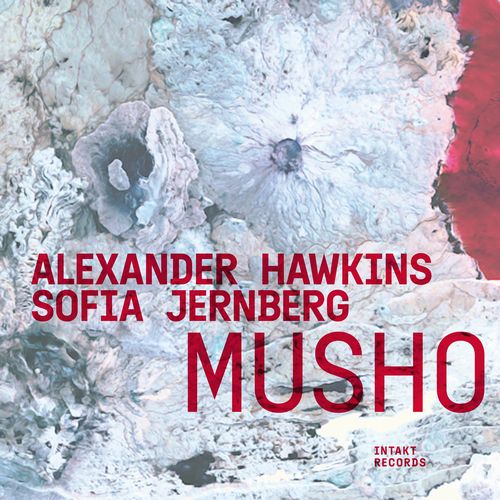 ALEXANDER HAWKINS / アレキサンダー・ホーキンス / Musho