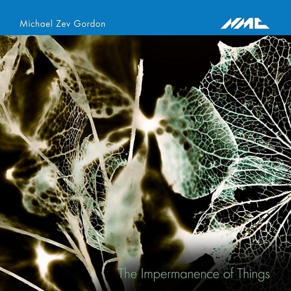 JUKKA-PEKKA SARASTE / ユッカ=ペッカ・サラステ / MICHAEL ZEV GORDON:IMPERMANENCE OF THINGS(CD-R)