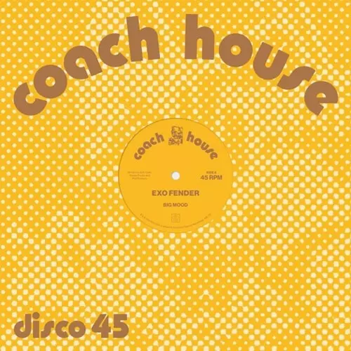 EXO FENDER / BIG MOOD (FEAT JUSTIN VAN DER VOLGEN EDIT) (12")