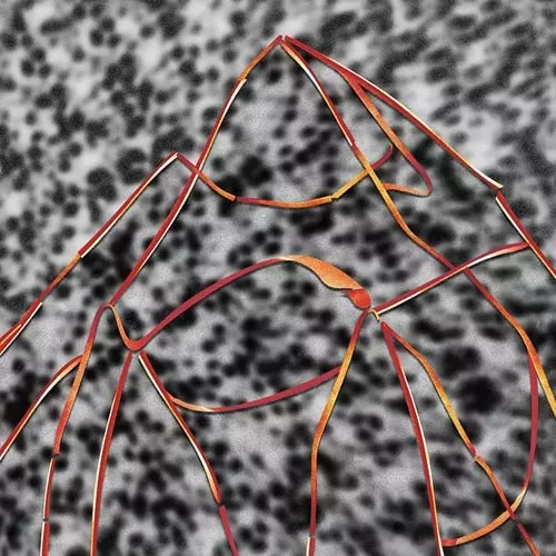 MULTIPLES (AKA SPEEDY J AND SURGEON) / TWO HOURS OR SOMETHING (2LP)