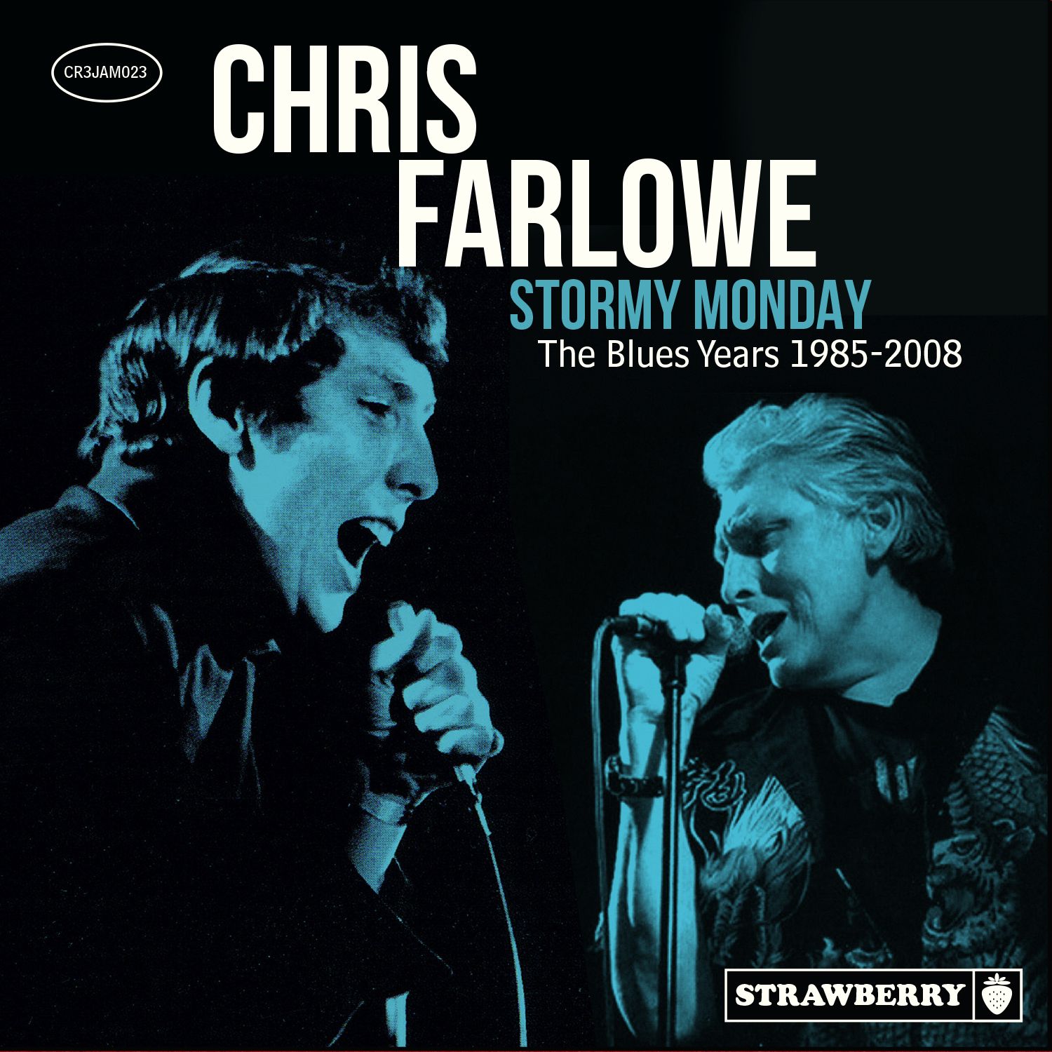 CHRIS FARLOWE / クリス・ファーロウ / STORMY MONDAY - THE BLUES YEARS 1985-2008 (3CD)