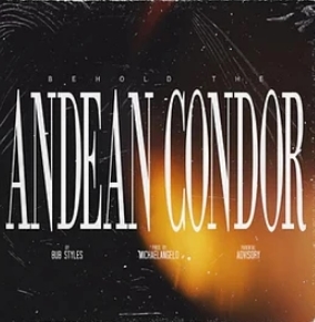 BUB STYLES X MICHAELANGELO / BEHOLD THE ANDEAN CONDOR "LP" 
