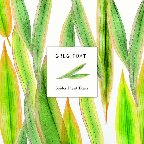 GREG FOAT / グレッグ・フォート / Spider Plant Blues(7")