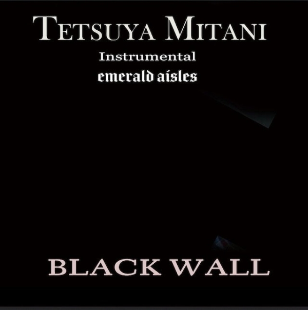 TETSUYA MITANI / 三谷哲也 / Black Wall / ブラック・ウォール
