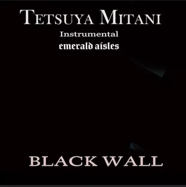 TETSUYA MITANI / 三谷哲也 / Black Wall / ブラック・ウォール