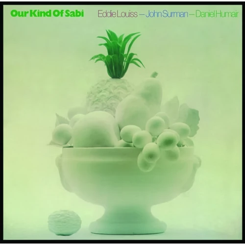 JOHN SURMAN / ジョン・サーマン / Our Kind of Sabi(LP)