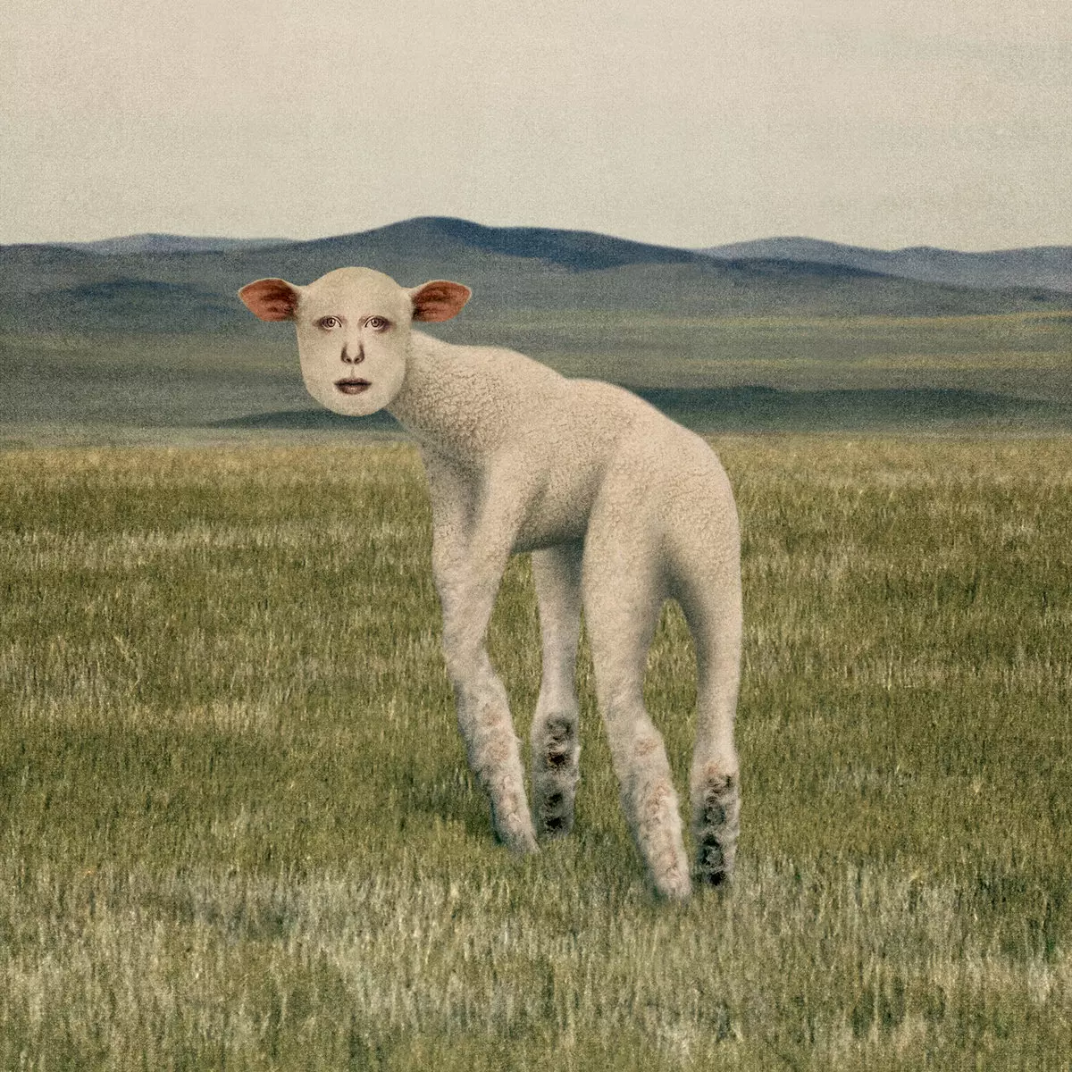 ANIMAL(EP)/THORNAPPLE/ソーンアップル/第17回韓国大衆音楽賞に ...