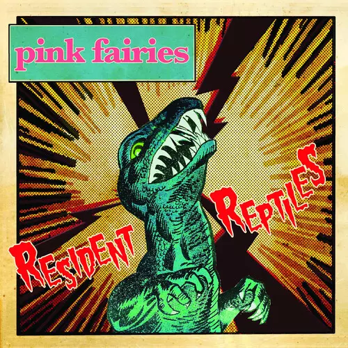 PINK FAIRIES / ピンク・フェアリーズ商品一覧｜PUNK｜ディスク