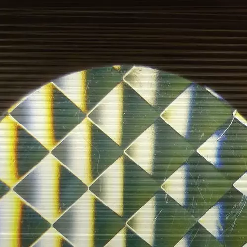 SAMARA LUBELSKI / サマラ・ルベルスキ / Indexical/Rhizome