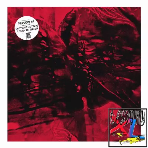THEY ARE GUTTING A BODY OF WATER / DESTINY XL (LP)