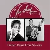 V.A. HIDDEN GEMS / V.A.(HIDDEN GEMS) / HIDDEN GEMS FROM VEE-JAY (CD-R)