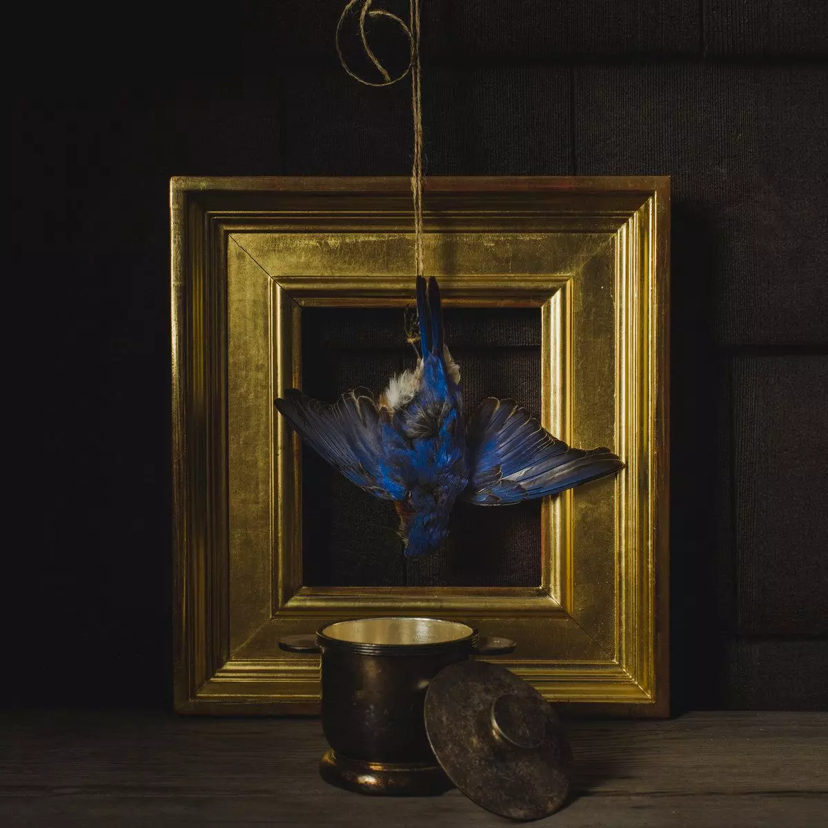 CLAIRE DICKSON / THE BEHOLDER