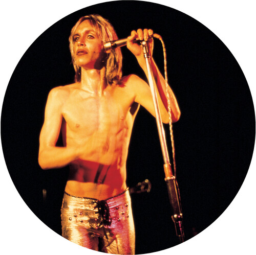 IGGY POP / STOOGES (IGGY & THE STOOGES)  / イギー・ポップ / イギー&ザ・ストゥージズ / MORE POWER (PICTURE DISC LP)