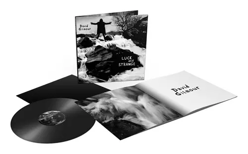 DAVID GILMOUR / デヴィッド・ギルモア / LUCK AND STRANGE: LIMITED VINYL