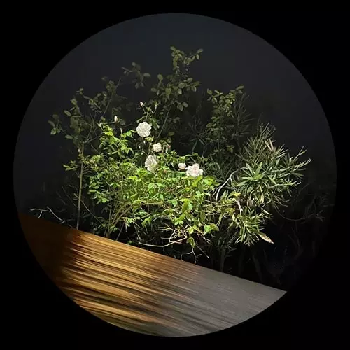 BEN LA DESH / FINE RISE EP