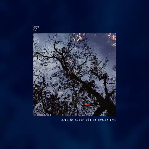 MIASMA DEATH / ミアズマ・デス / 沈 Reflection in the Dark Water
