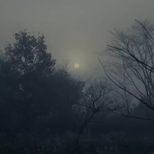 ITOKO TOMA / 当真伊都子 / Beyond the Mountain