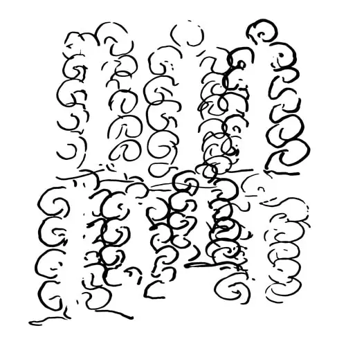 HOTSPRING (CLUB) / APODELIA (LP)