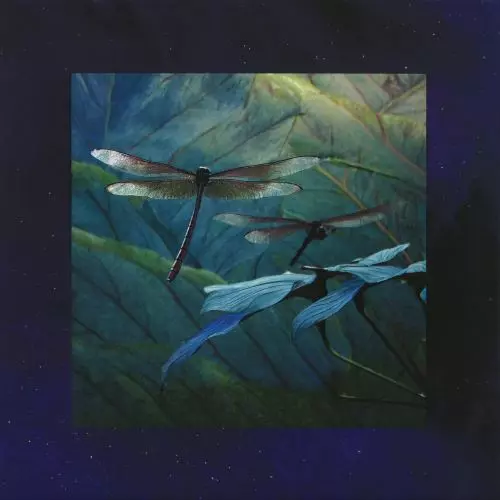 BRYZ / INTERNAL FLIGHT EP