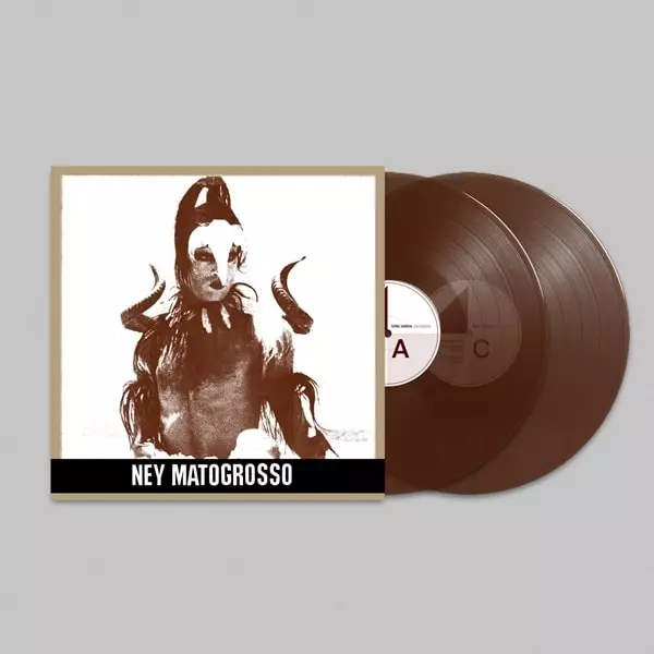 NEY MATOGROSSO / ネイ・マトグロッソ / AGUA DO CEU – PASSARO (2LP)