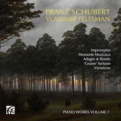 VLADIMIR FELTSMAN / ヴラディーミル・フェルツマン / SCHUBERT:PIANO WORKS VOL.7(CD-R)