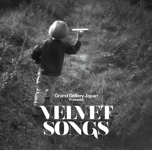 V.A. (VELVET SONGS) / VELVET SONGS
