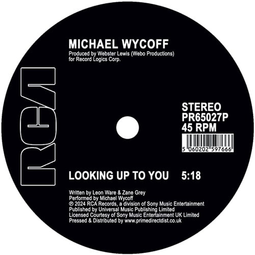 MICHAEL WYCOFF / マイケル・ワイコフ / LOOKING UP TO YOU - MIKE MAURRO MIX