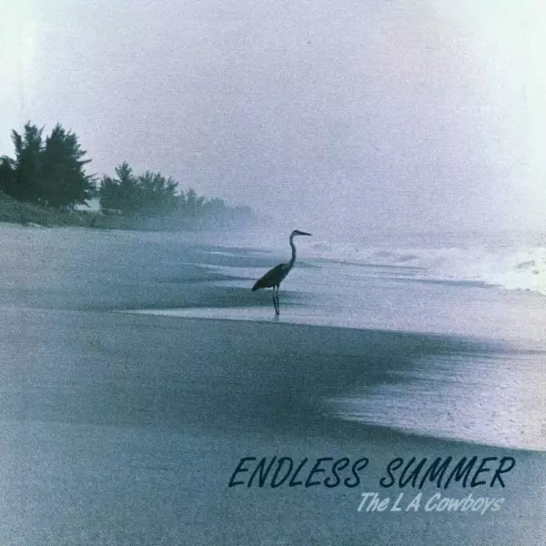 THE LA COWBOYS / ENDLESS SUMMER