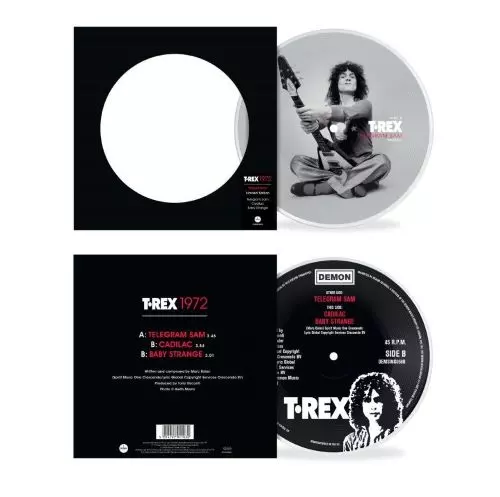 T. REX / T・レックス商品一覧｜OLD ROCK｜ディスクユニオン・オンラインショップ｜diskunion.net