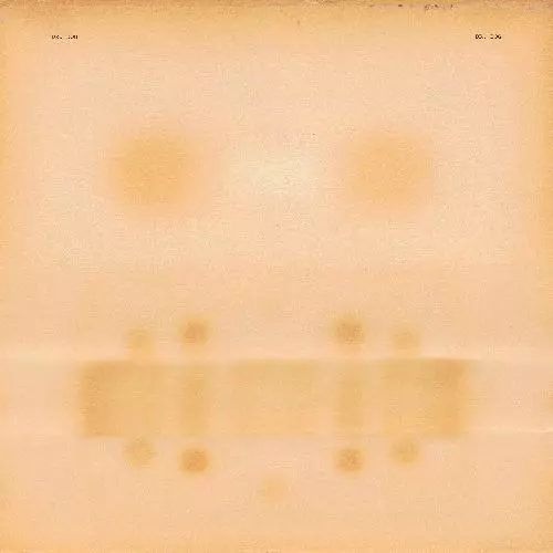 DR. DOG / ドクター・ドッグ / DR. DOG (CD)