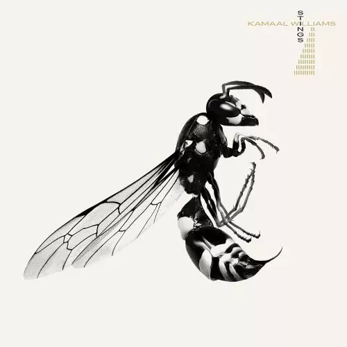 KAMAAL WILLIAMS / カマール・ウィリアムス / STINGS