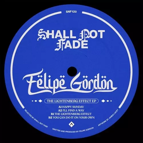 FELIPE GORDON / フェリペ・ゴードン / THE LICHTENBERG EFFECT [LABEL SLEEVE / RED + BLUE MARBLED VINYL]