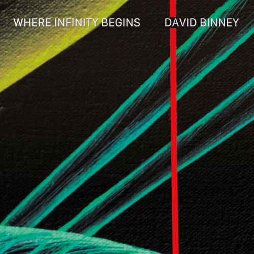 DAVID BINNEY / デヴィッド・ビニー / Where Infinity Begins