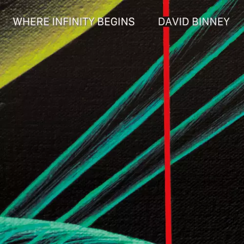 DAVID BINNEY / デヴィッド・ビニー / Where Infinity Begins(CD-R)