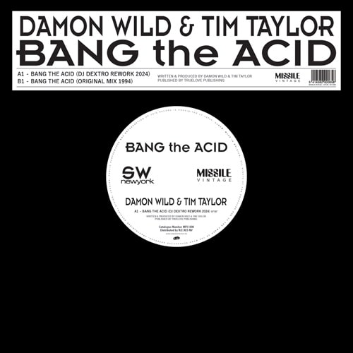 DAMON WILD & TIM TAYLOR / BANG THE ACID