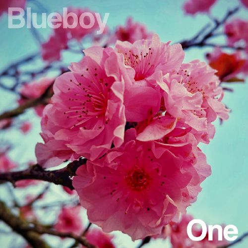 BLUEBOY / ブルーボーイ / ONE (7")