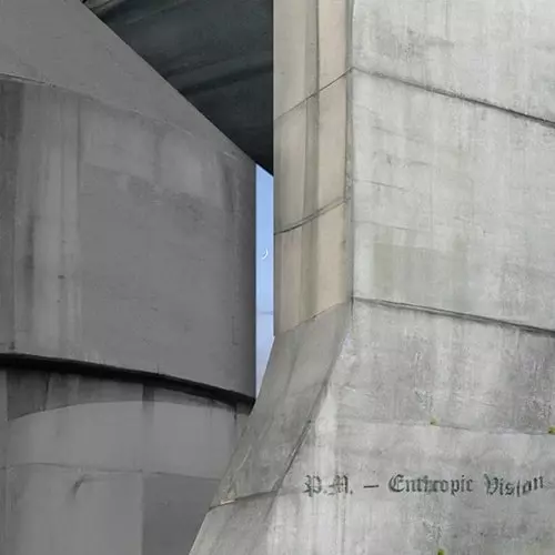 PAVEL MILYAKOV / パヴェル・ミリャコフ / ENTHROPIC VISION (MINI LP)