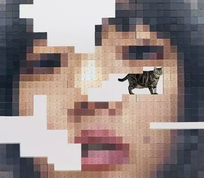 AIMYON / あいみょん / 猫にジェラシー(初回限定Blu-ray盤)