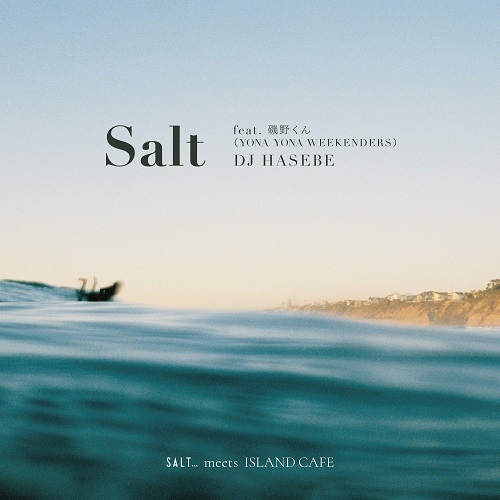 DJ HASEBE aka OLD NICK / DJハセベ aka オールドニック / Salt feat. 磯野くん (YONA YONA WEEKENDERS)(7)