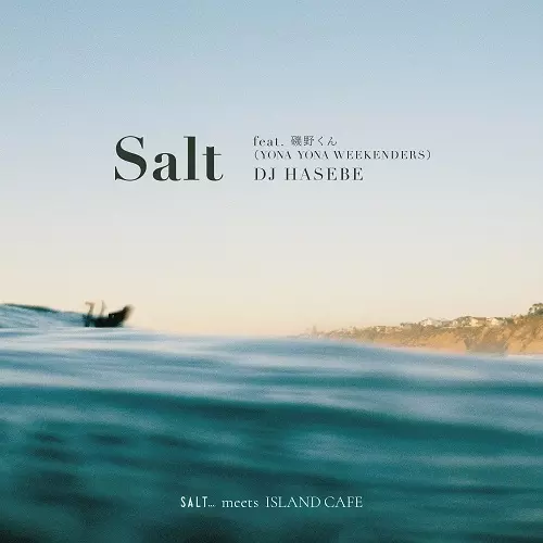 DJ HASEBE aka OLD NICK / DJハセベ aka オールドニック / Salt feat. 磯野くん (YONA YONA WEEKENDERS)(7INCH)