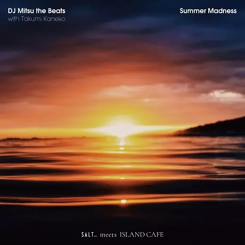 DJ MITSU THE BEATS (GAGLE) / Summer Madness with Takumi Kaneko / runningback 2 u with n’sawa-saraca