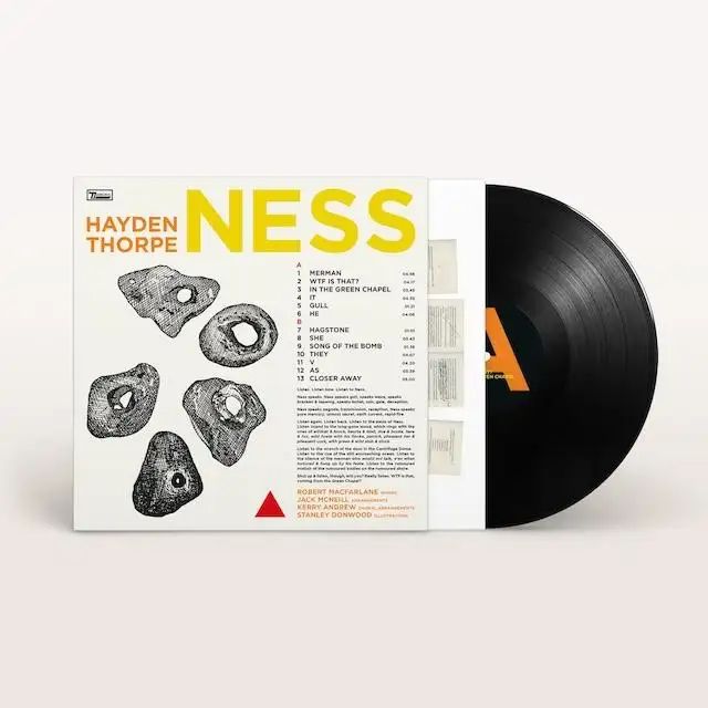 HAYDEN THORPE / NESS(LP) / NESS(LP)