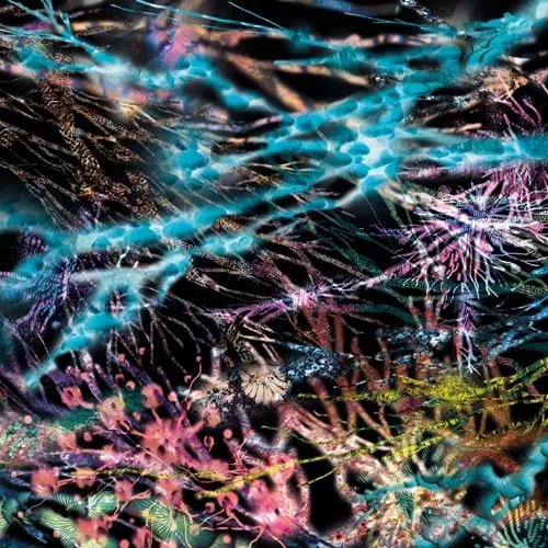 LCSM (LIKWID CONTINUAL SPACE MOTION) / REMEDY (3LP)
