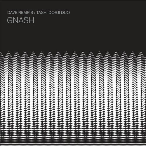 DAVE REMPIS / デイブ・レンピス / Gnash