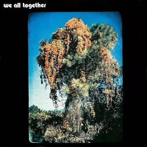 WE ALL TOGETHER / ウィー・オール・トゥギャザー / WE ALL TOGETHER (LP)