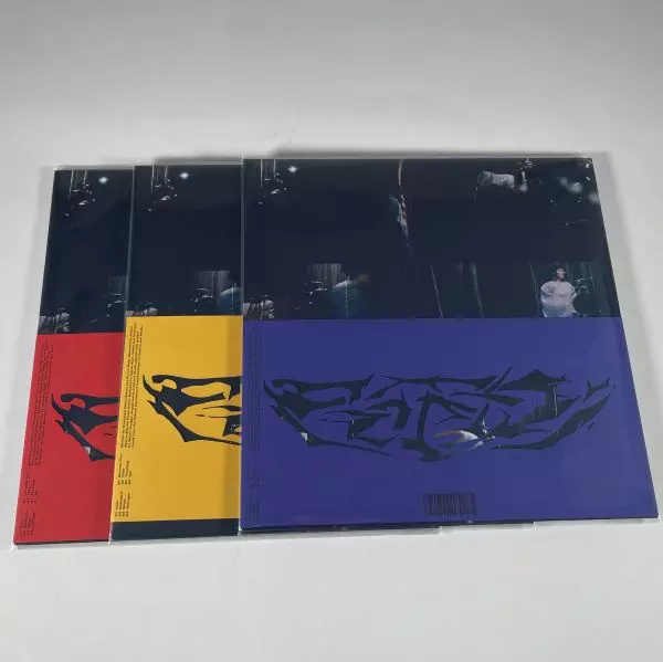 ヤッホー(LP)/shintaro sakamoto/坂本慎太郎/坂本慎太郎、ニュー