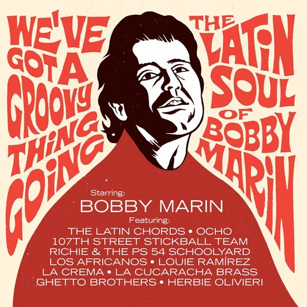 V.A. (WE'VE GOT A GROOVY THING GOING) / オムニバス / WE'VE GOT A GROOVY THING GOING: THE LATIN SOUL OF BOBBY MARIN (2LP)