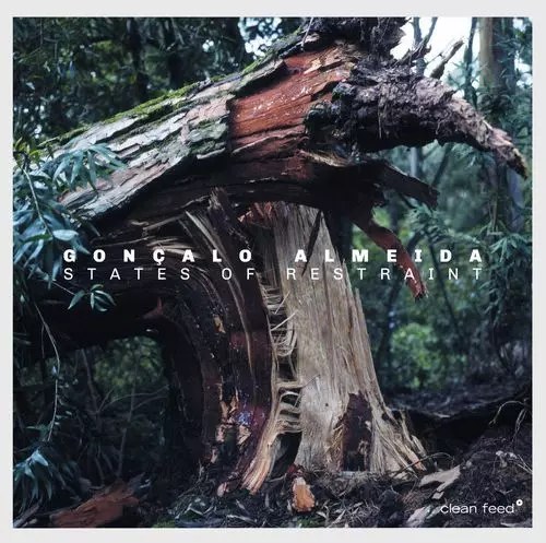 GONCALO ALMEIDA / ゴンサロ・アルメイダ / States of Restraint