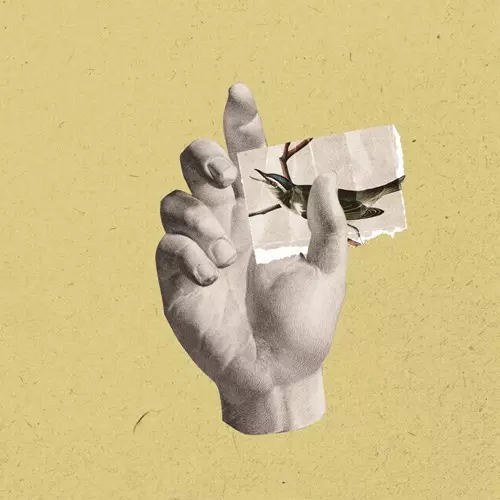 きれいなひとりぼっちたち/V.A. (銀杏BOYZ)｜PUNK｜ディスクユニオン