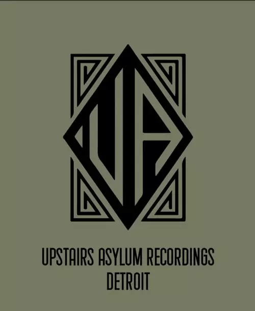 V.A. (UPSTAIRS ASYLUM) / UNITY VOL.3 (2LP)